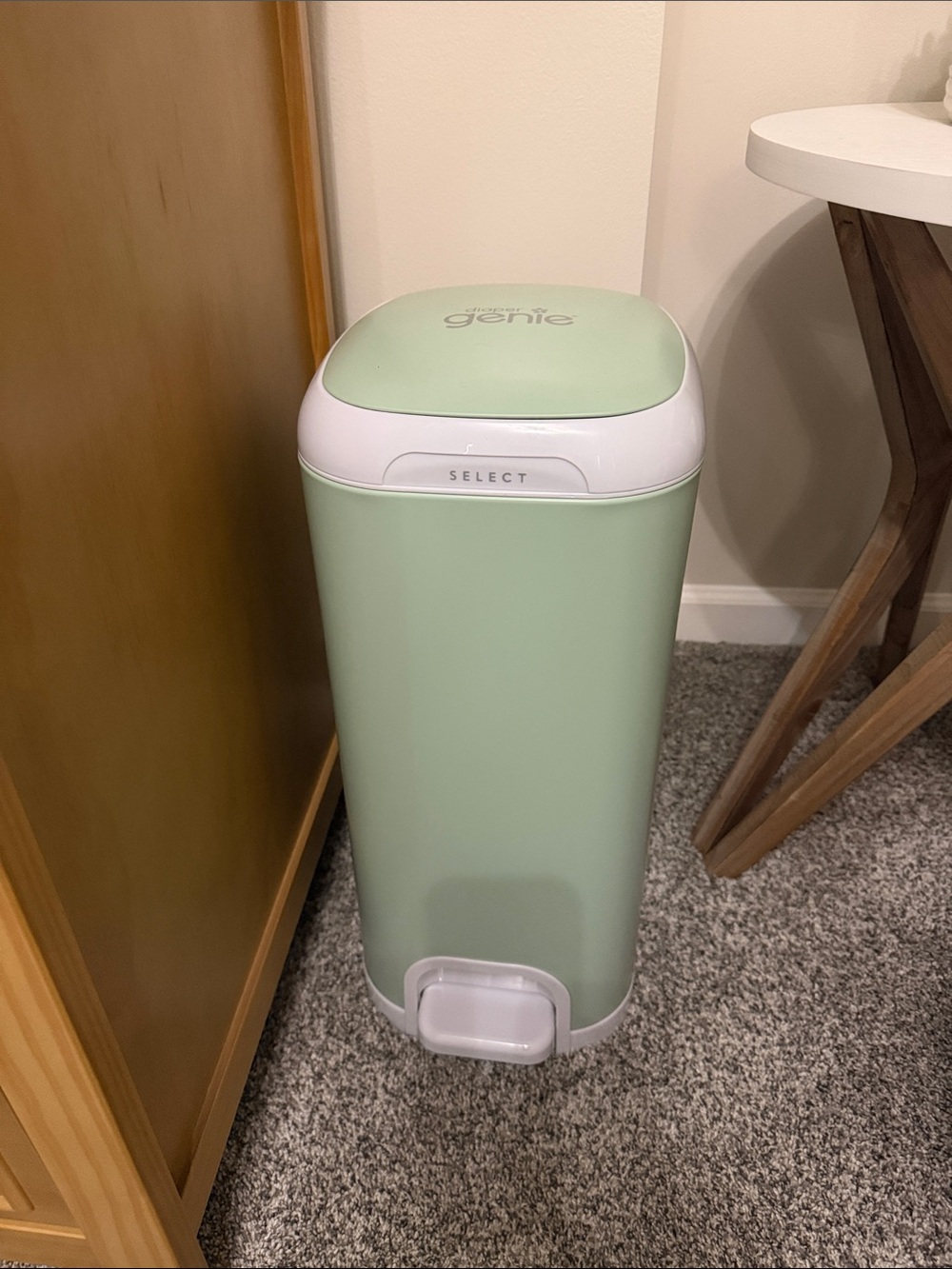 Skip Hop Diaper Genie Select Step Trash Can - Mint